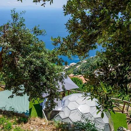 De Vivo Realty - Boscosfera Luxury tent *